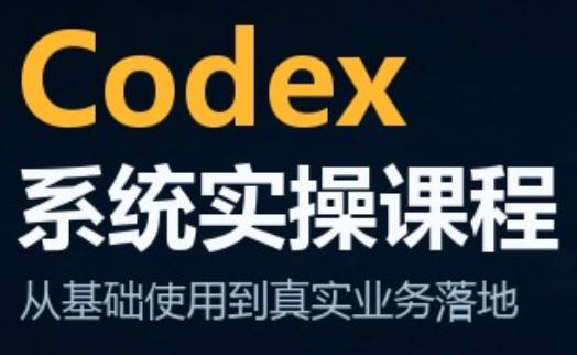 codex系统实操课程(更新10月)-优优云网创