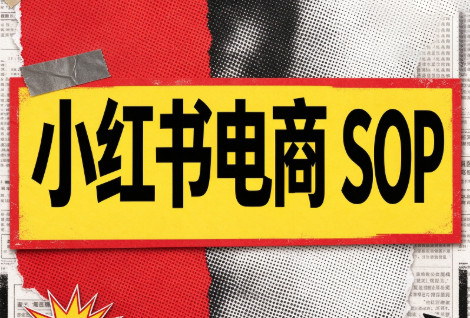 书豪必胜小红书电商sop(更新9月)-优优云网创