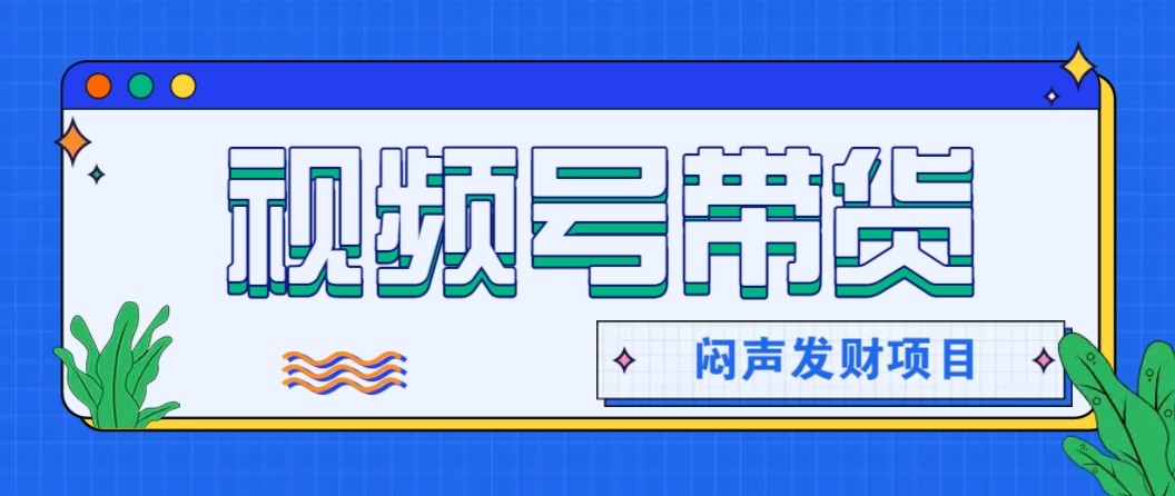微信视频号带货项目，轻松日赚赚2000+，这个挣钱入口很多伙伴都在闷声发财-优优云网创