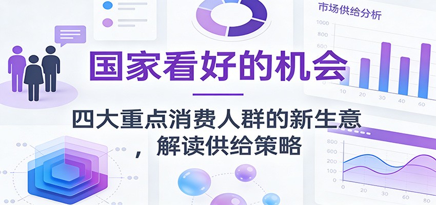 公众号付费文章：国家看好的机会，四大重点消费人群的新生意，解读供给策略-优优云网创