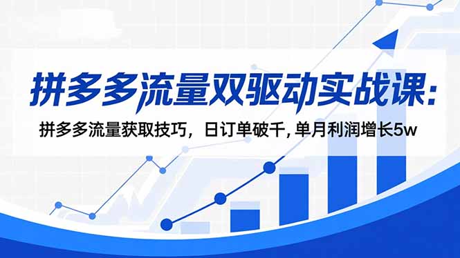 拼多多流量双驱动实战课：拼多多流量获取技巧，日订单破千,单月利润增长5w-优优云网创