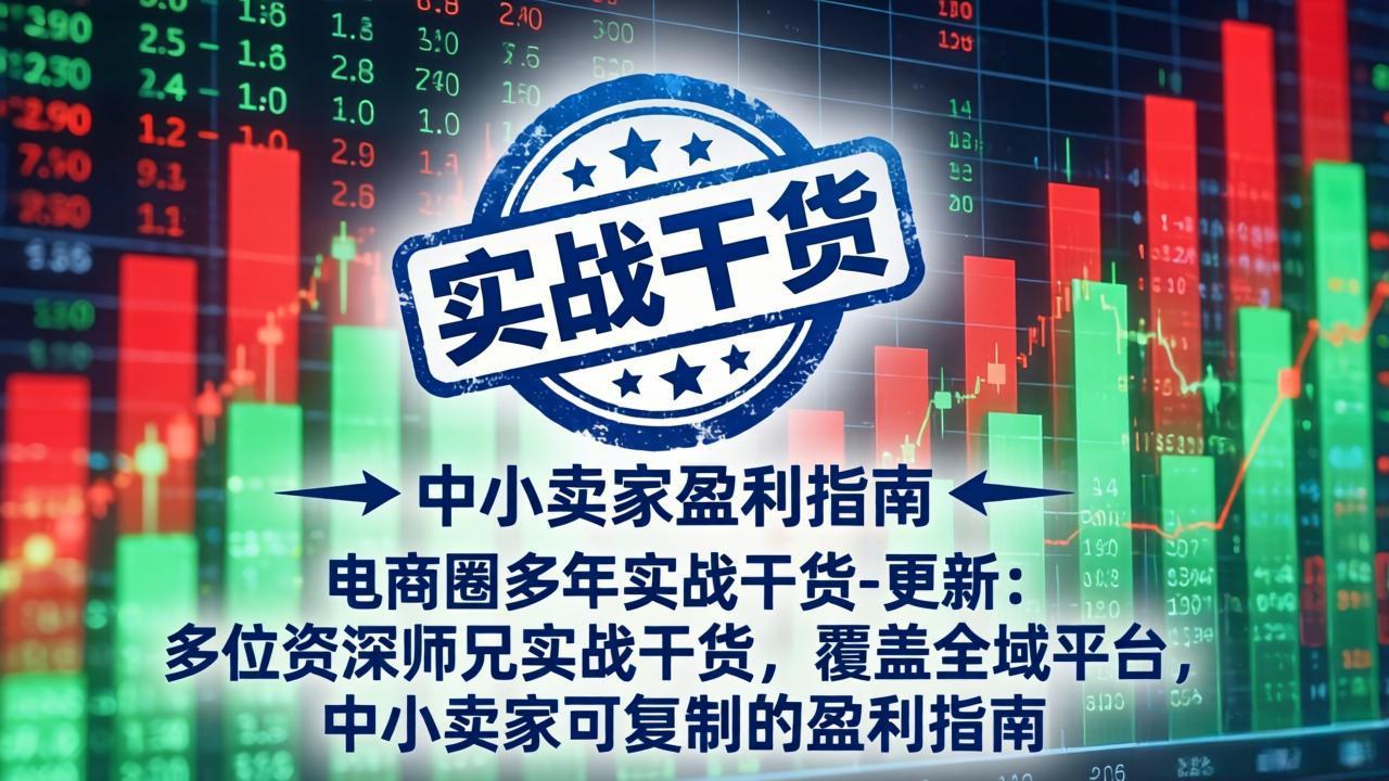 电商圈多年实战干货-更新4月27：多位资深师兄实战干货/覆盖全域平台，中小卖家可复制的盈利指南-优优云网创