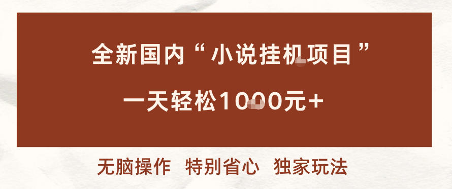 全新国内小说挂G项目，多窗口无脑跑，一天轻松1k+，特别省心【揭秘】-优优云网创
