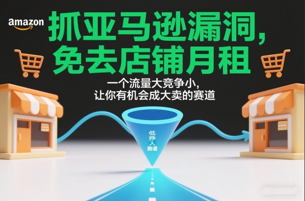 抓亚马逊漏洞,免去店铺月租,一个流量大竞争小,让你有机会成大卖的赛道