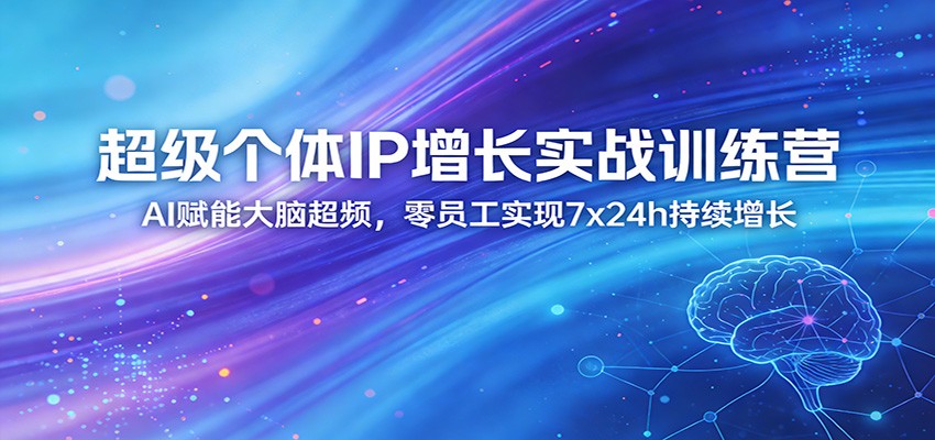 超级个体IP增长实战训练营：AI赋能大脑超频，零员工实现7x24h持续增长(更新)-优优云网创