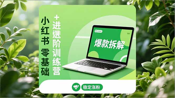 小红书零基础+高阶训练营：安全养号、爆款拆解、长效运营，实现稳定涨粉与变现-优优云网创