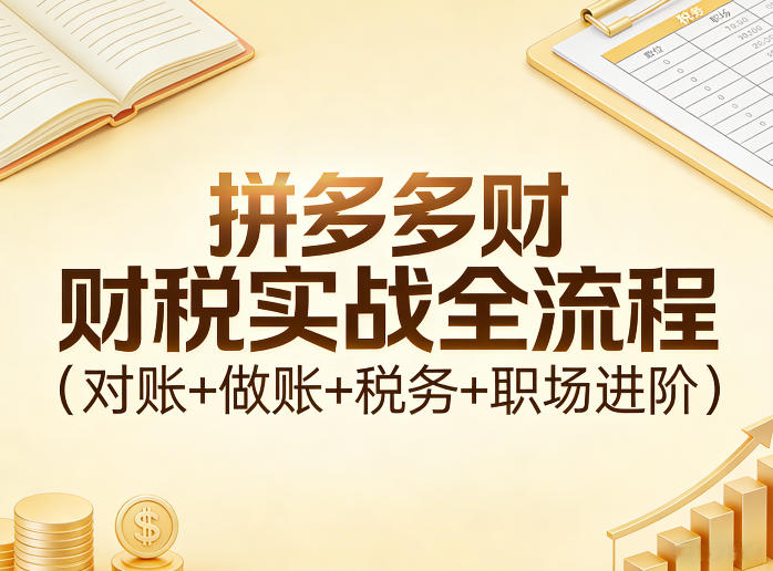 拼多多财税实战全流程（对账+做账+税务+职场进阶）