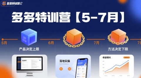 多多特训营，产品决定上限，方法决定下限，各种玩法技巧落地实操(更新)-优优云网创