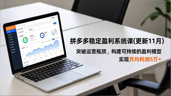 拼多多稳定盈利系统课(更新11月-优优云网创